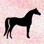Arabian Horse Silhouette Vinyl Decal